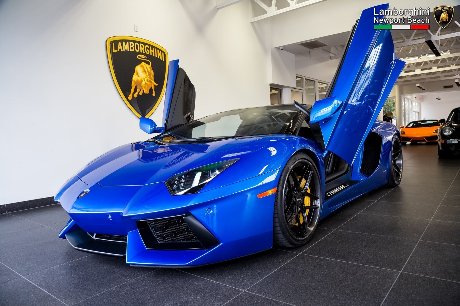 Включи голубой. Ламборджини авентадор Блу. Lamborghini Aventador Roadster lp700-4 Blue. Ламборджини авентадор синий. Рахим синий Ламборгини.