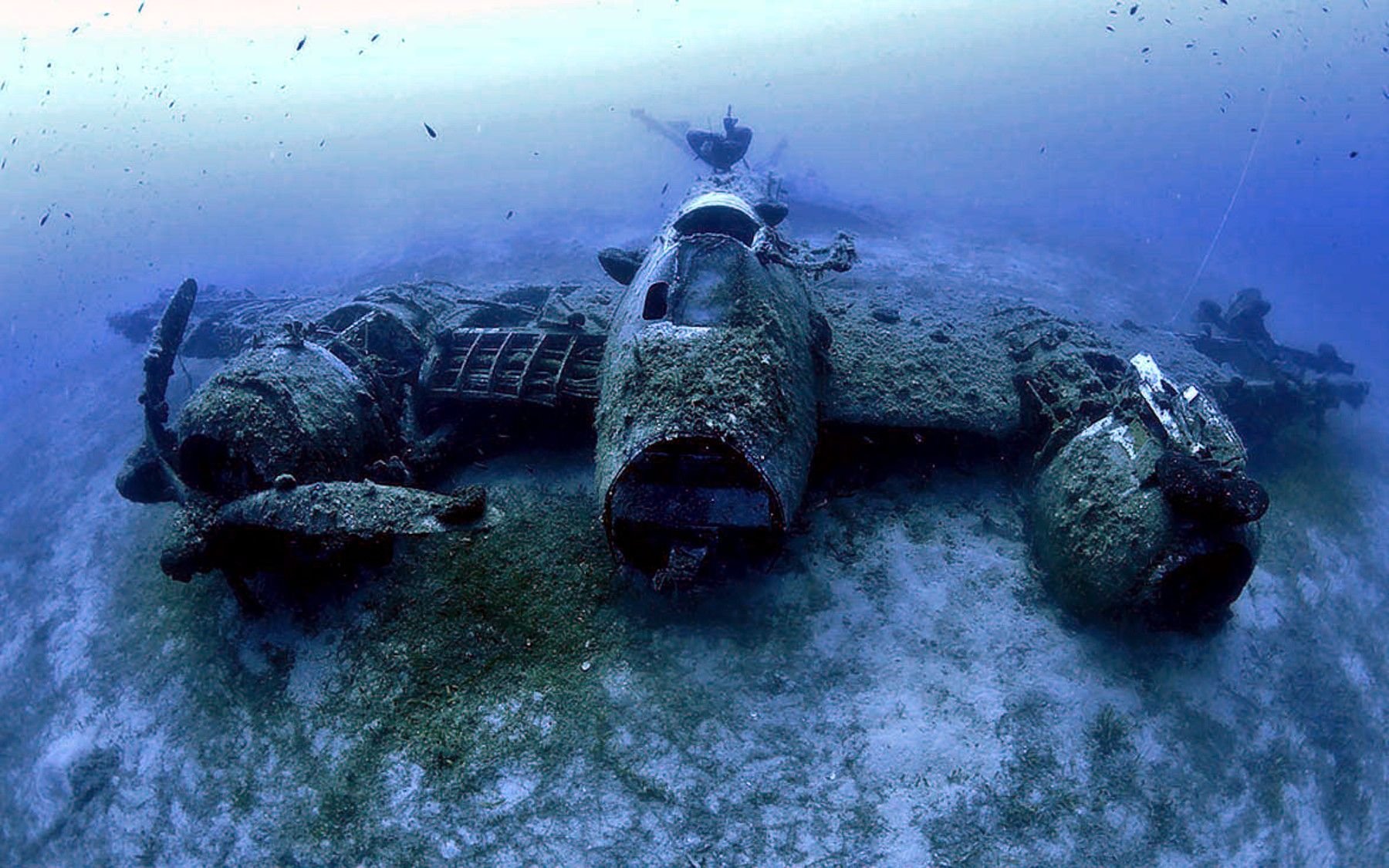 Где на дне океана. Затонувший испанский Галеон Сан Хосе. Мыс Тарханкут затонувший корабль. Тарханкут подводный музей. Тарханкут дайвинг.