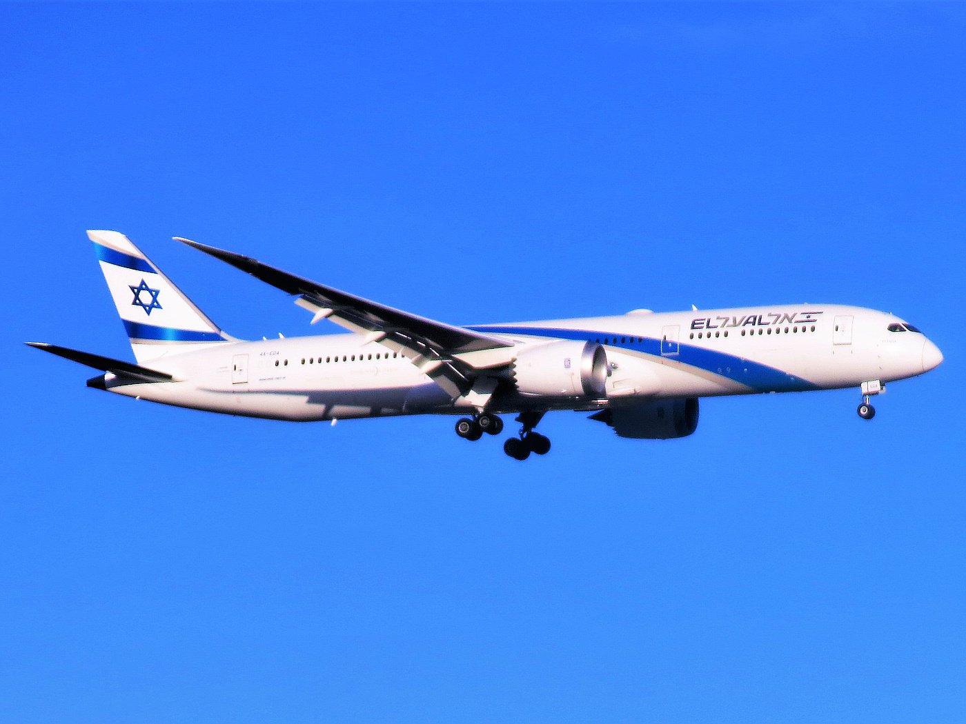 Эль аль отзывы. El al Israel Airlines Boeing 787. Boeing 787-800. Боинг 787 авиакомпании Israel. El al Israel Airlines Boeing 777-200 / 200er.