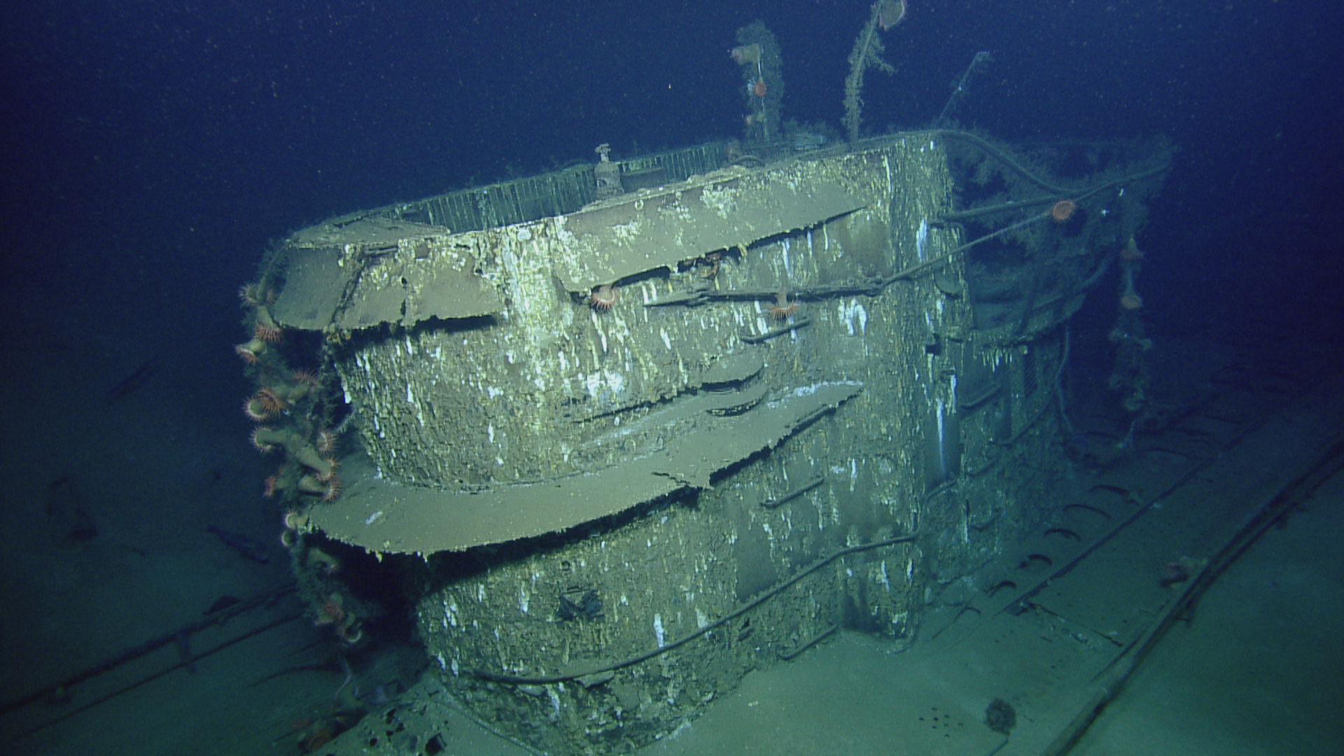 Корабль был затоплен. U 166 подводная лодка. Затонувшие подводные лодки Германии второй мировой войны. Корабль Рио Гранде затонувший. Затонувшая подводная лодка второй мировой войны.