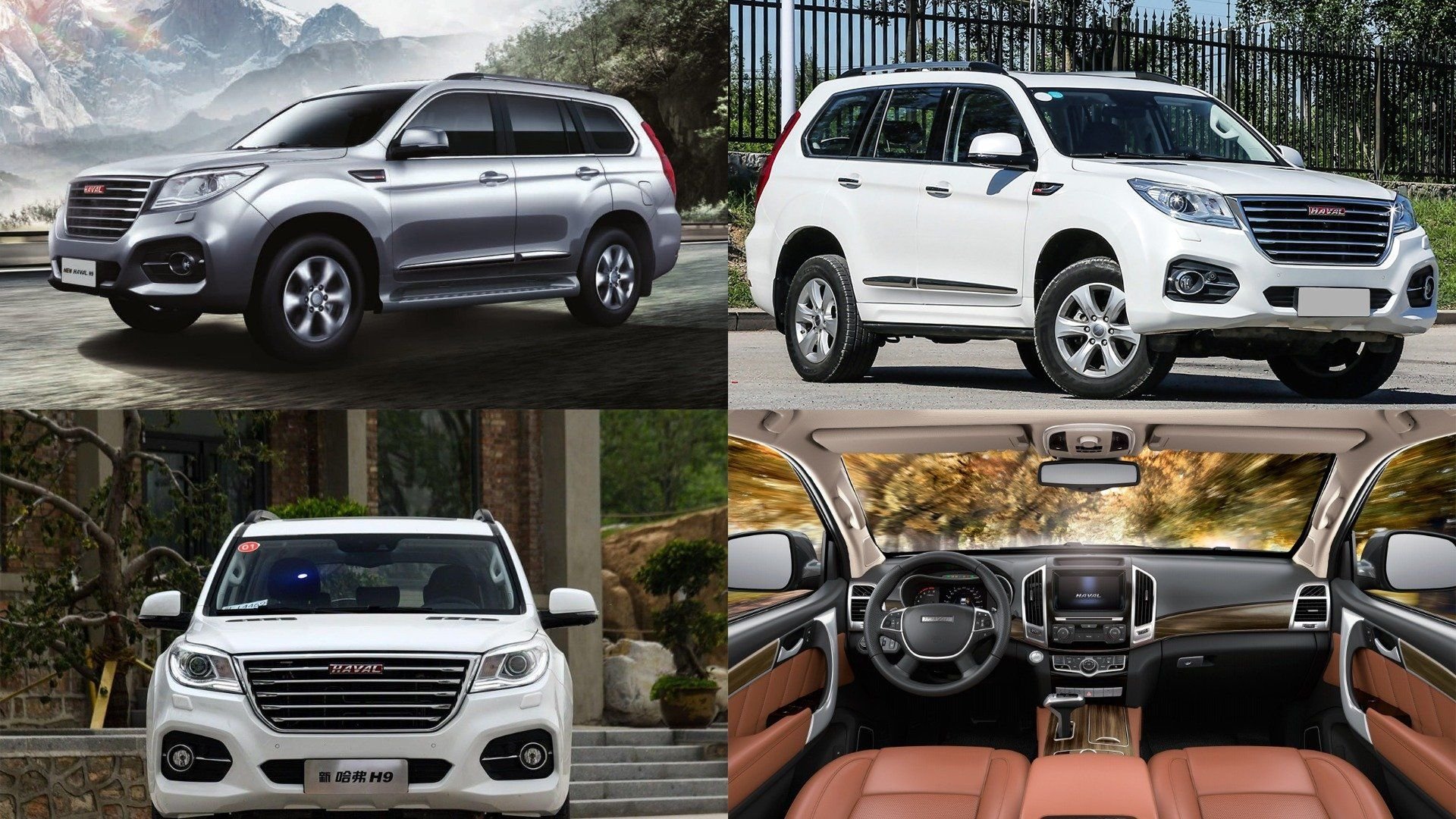 Хавал м6 сравнение. Haval h9 2022. Kia Mohave 2022. Haval h9 vs. Haval h9 белый.