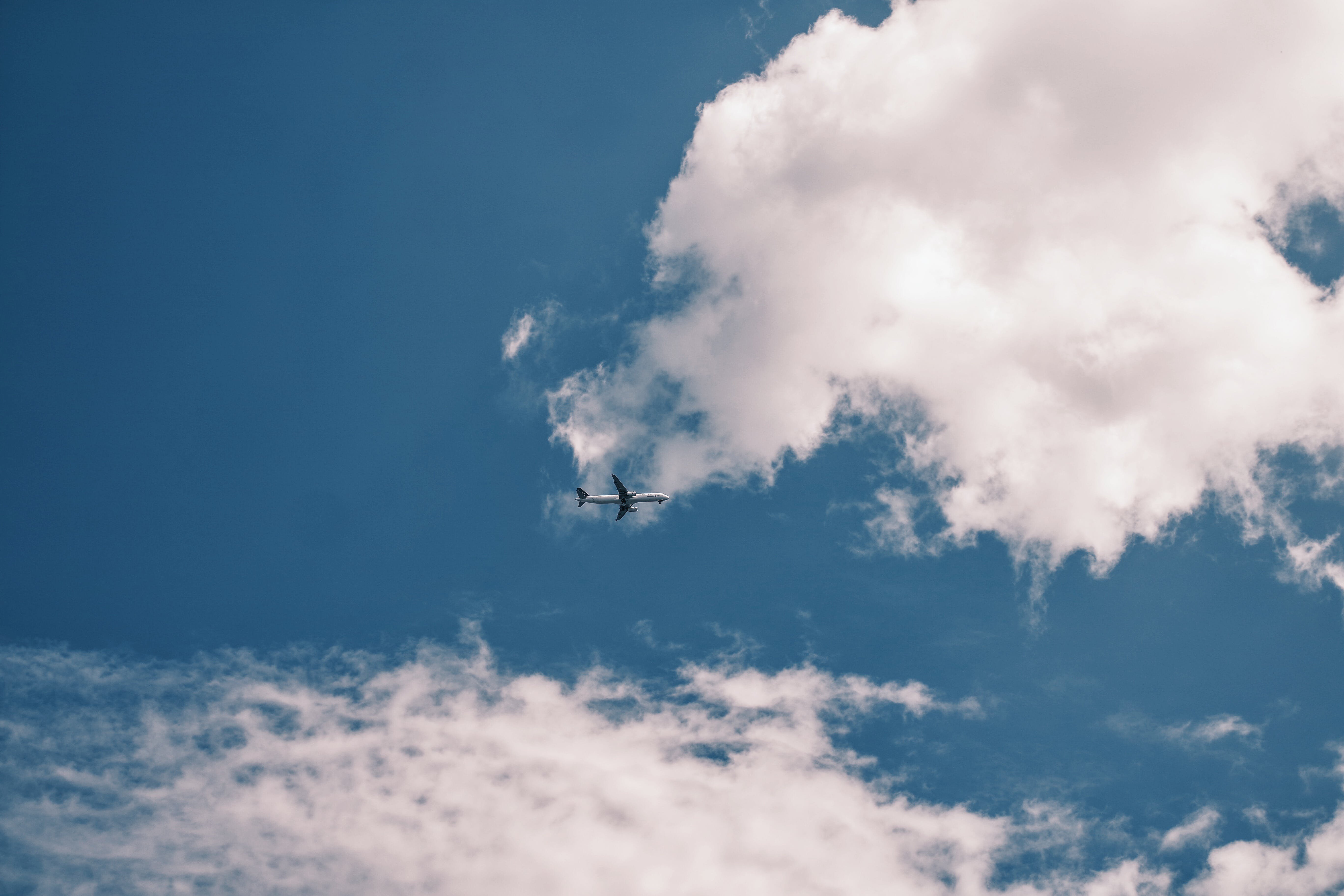 Самолет написал в небе. Самолет в небе. Самолет в облаках. Небо облака самолет. Небо с самолетом вдалеке.