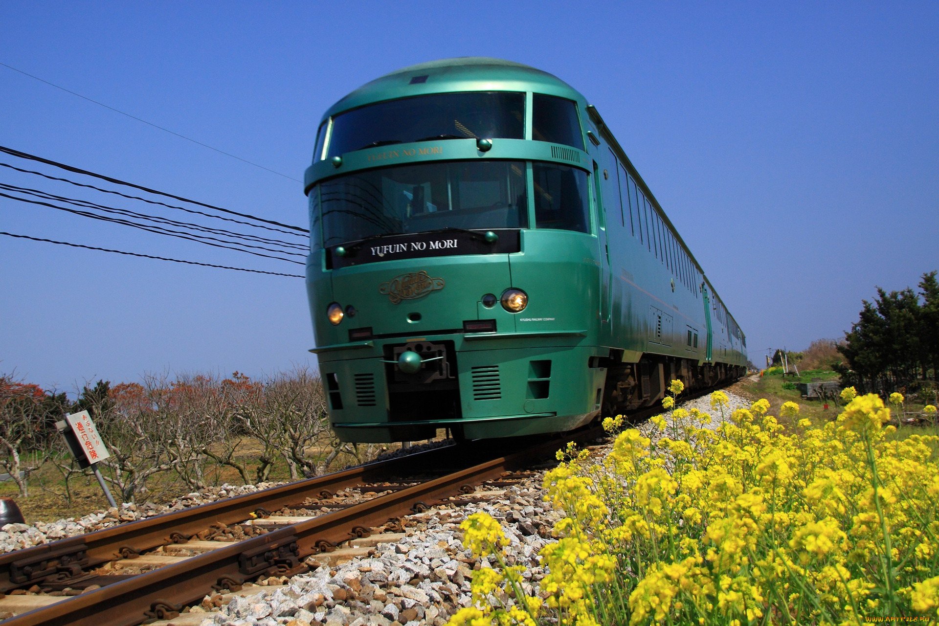 Зеленые железные дороги. Зеленый поезд. Железнодорожные зеленые поезда. Зеленая электричка. Салатовый поезд.