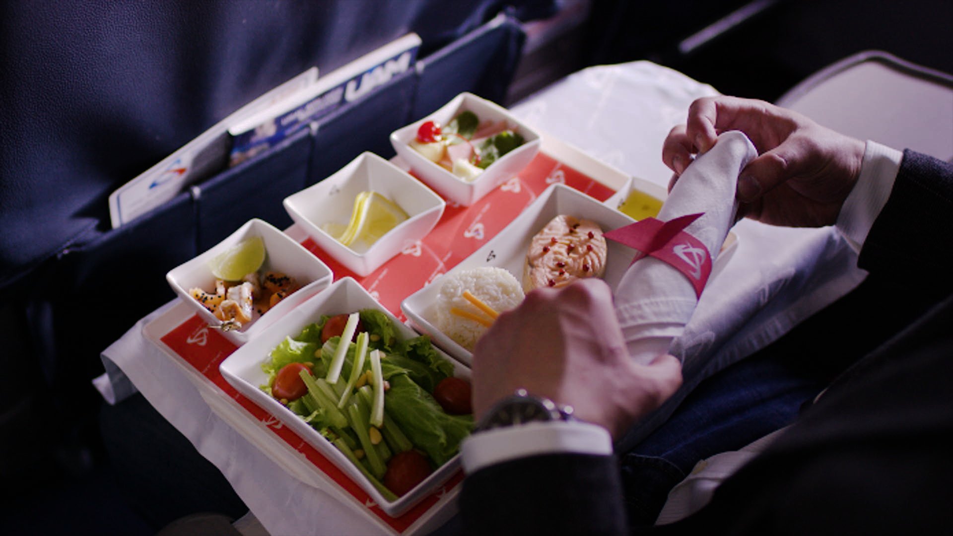Провозить фрукты в самолете. Еда с собой в самолет. Самолет из продуктов. Продукты в самолет. Самолет из еды.