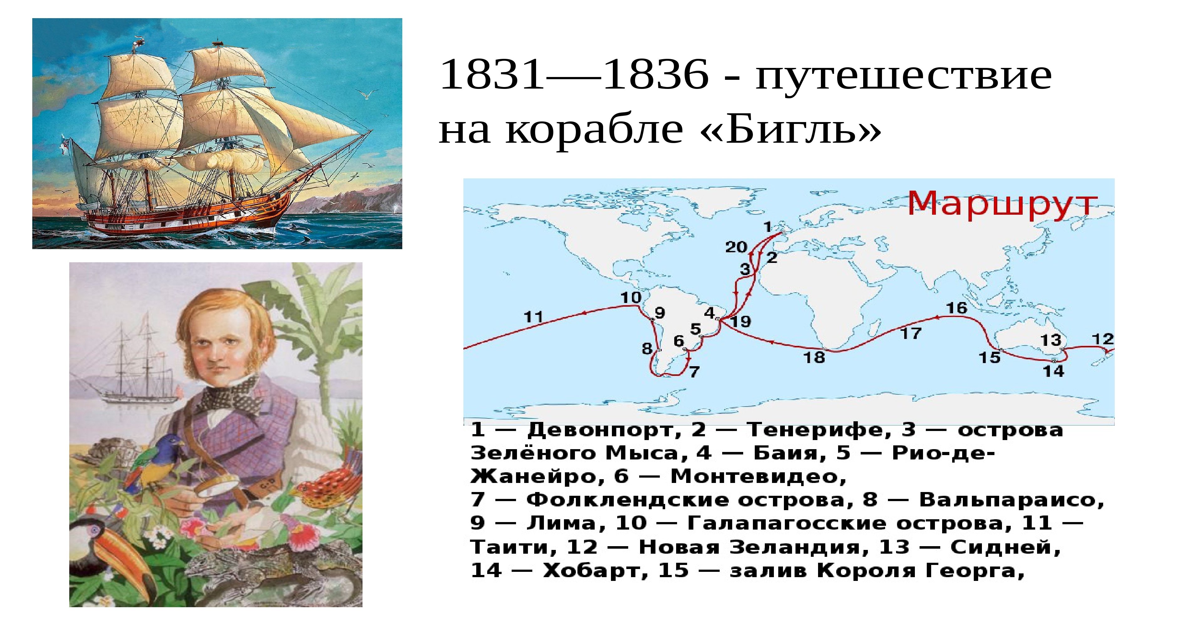Ч дарвин кругосветное путешествие. Путешествие Дарвина на корабле Бигль. Карта путешествия Чарльза Дарвина на корабле Бигль.