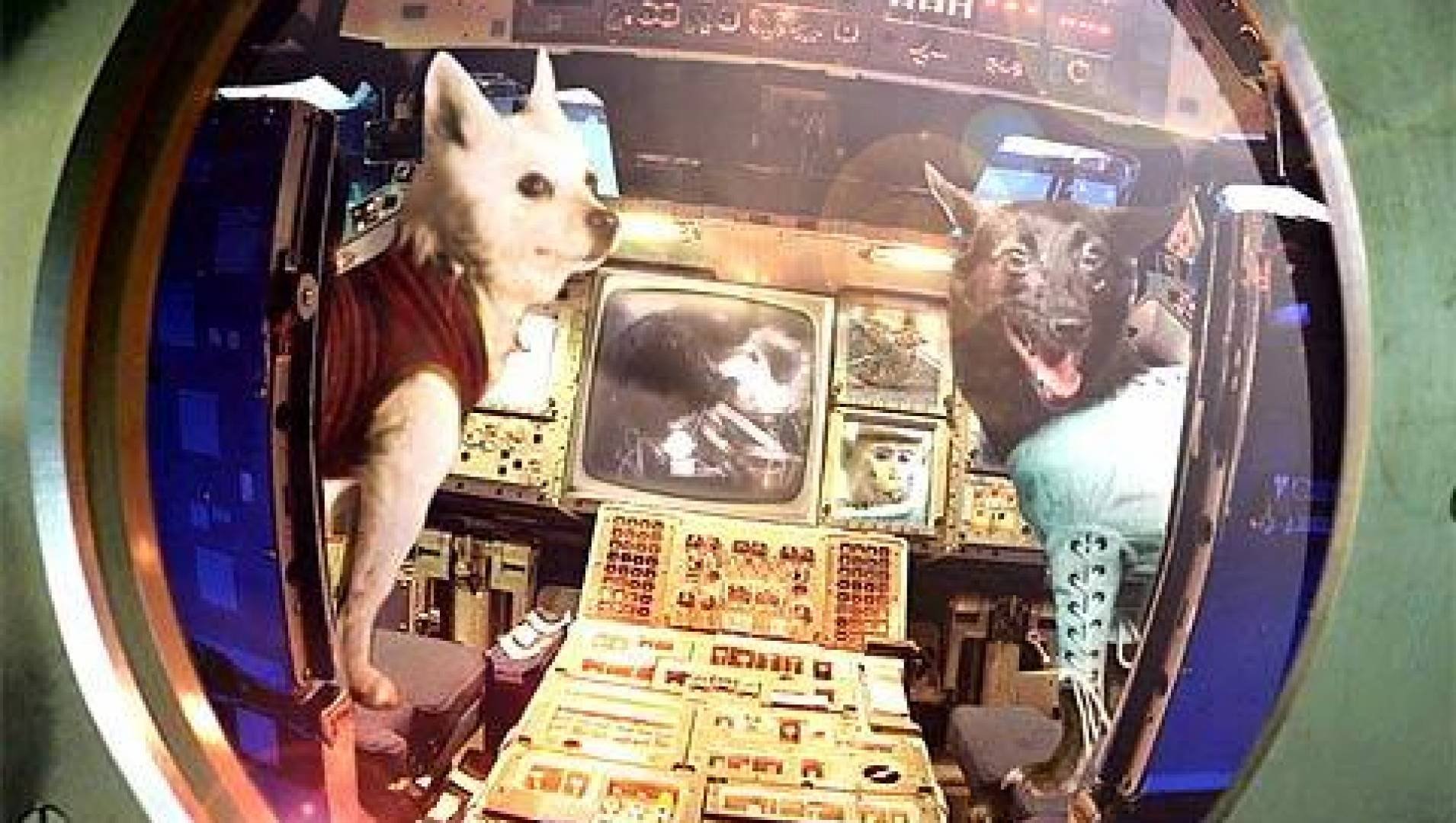 Белка и стрелка время в космосе. Белка и стрелка космонавты. Полет собак в космос белка и стрелка. Белка и стрелка полёт в космос 1958. Белка и стрелка первые собаки в космосе.