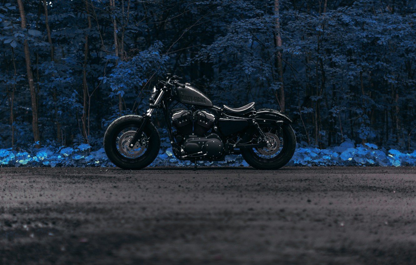 мотоцикл в лесу фото