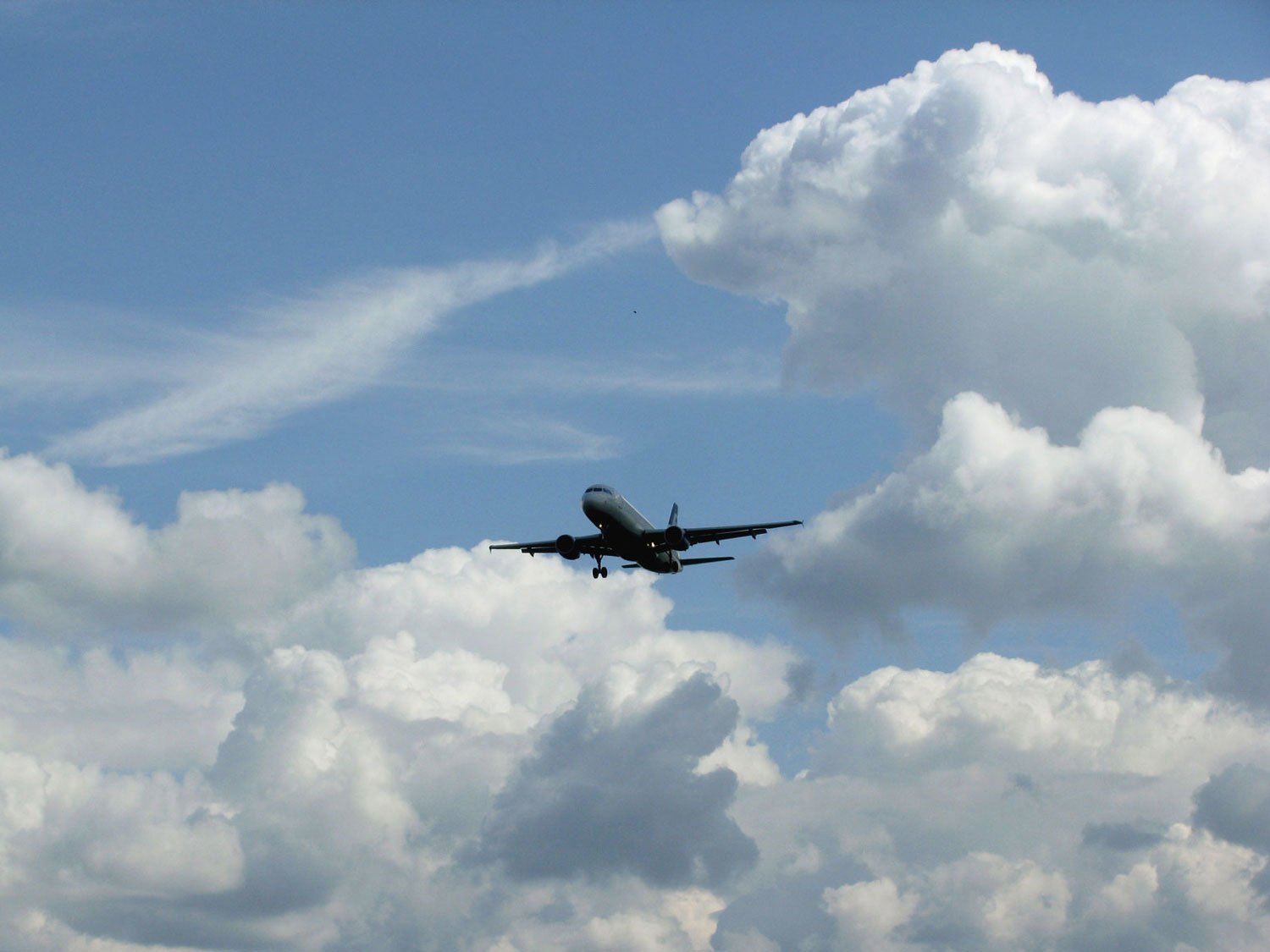 Самолеты над небом. Самолет в небе. Самолет в облаках. Небо облака самолет. Небо Авиация.