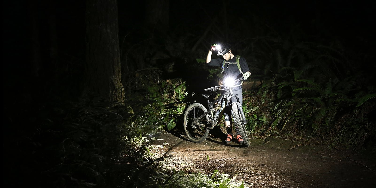 Велосипед со светом. Велосипедист ночью. Фонарь для велосипеда. Велосипед ночью в лесу. Велосипедист с фонариком.