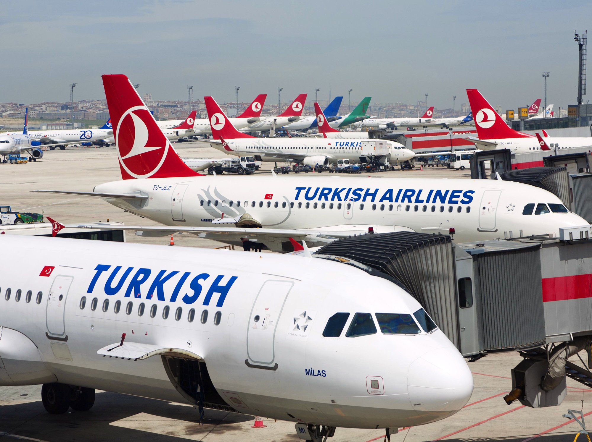 Летают ли сейчас в турцию. Turkish Airlines авиакомпании Турции. Туркиш Эйрлайнс Москва Турция. Турецкие авиалинии в Домодедово. Полет в Турцию.