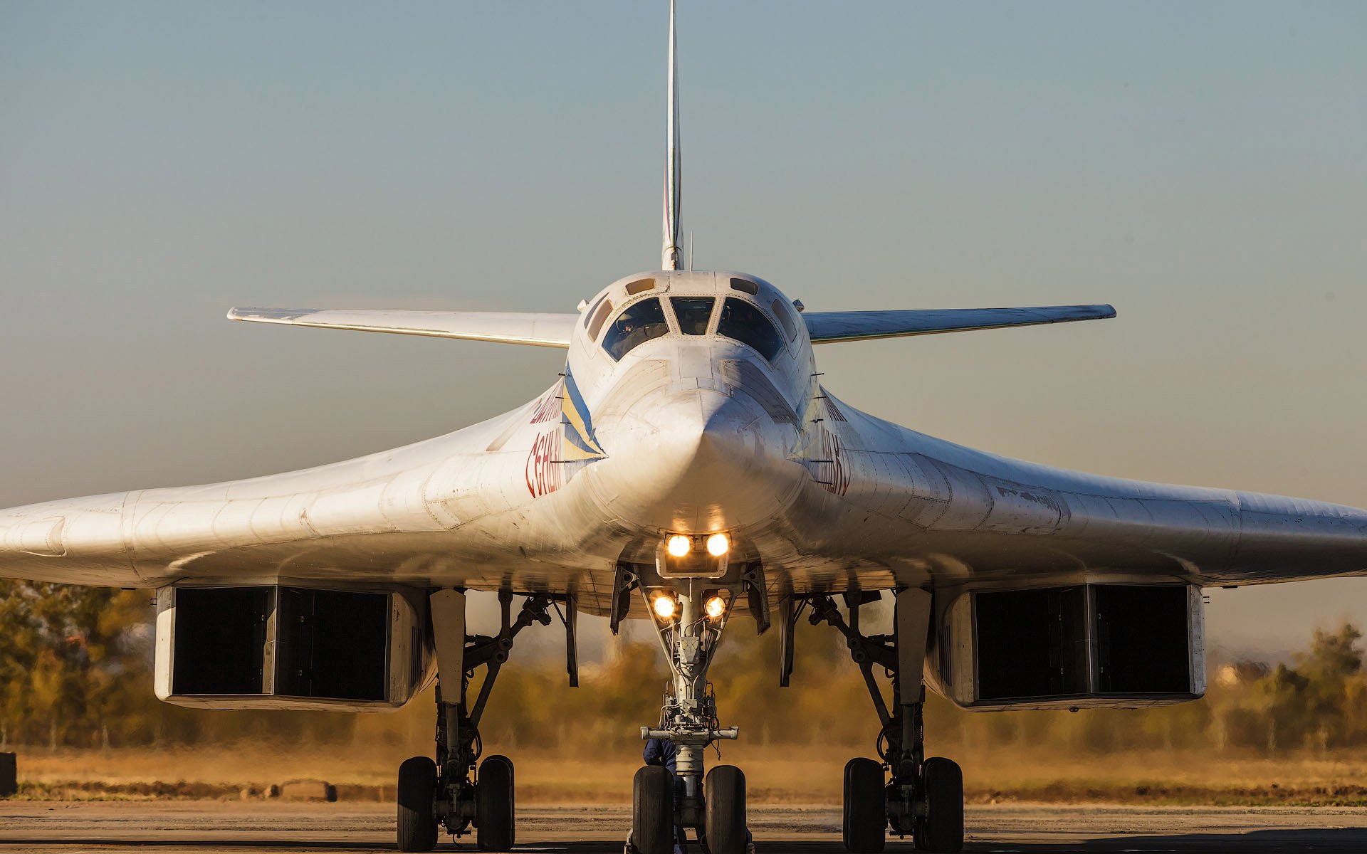 Ту 160 сверхзвуковой самолет вооружение. Ту-160 белый лебедь. Стратегический бомбардировщик ту-160 белый лебедь. Стратегический сверхзвуковой ракетоносец-бомбардировщик ту-160. Самолет дальней авиации ту-160.