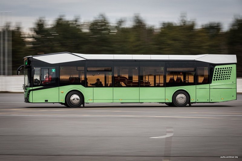 Новые автобусы МАЗ 303