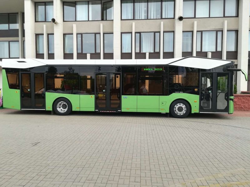 Новые автобусы МАЗ 303