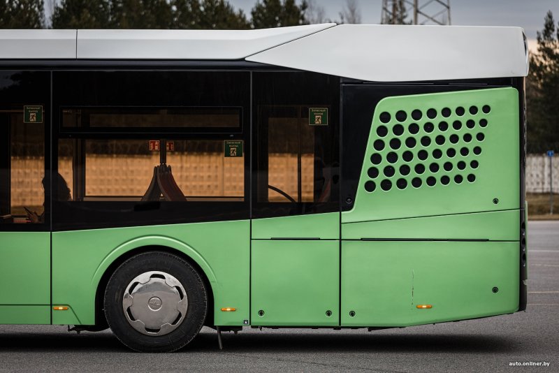 МАЗ 303 fotobus
