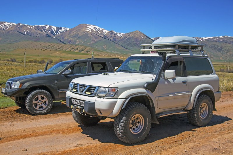 Nissan Safari коротыш 61