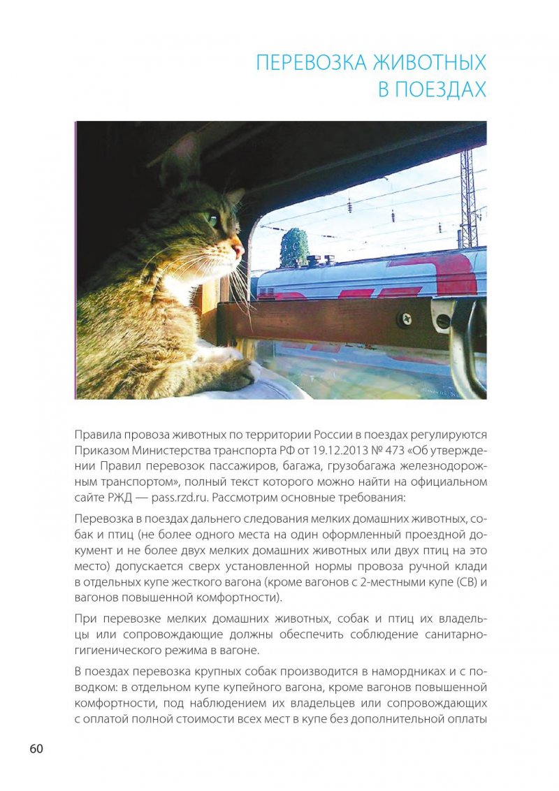 Порядок перевозки животных в поезде