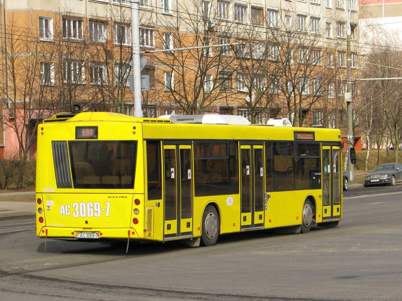 МАЗ 203 О 267 он