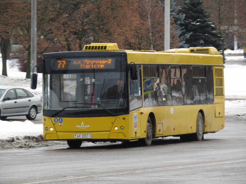 Автобусы МАЗ 203 065