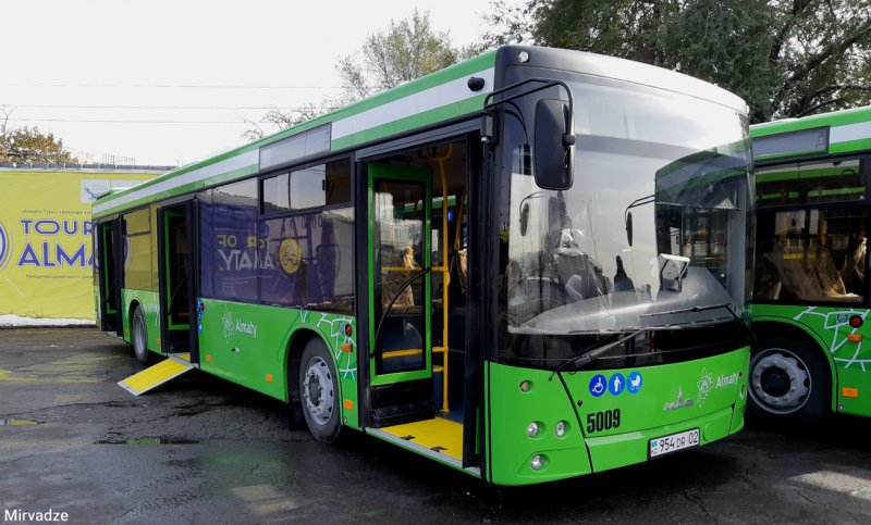 МАЗ 203