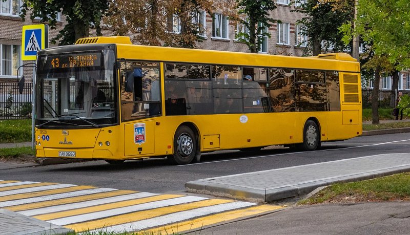 МАЗ автобус 203 2019