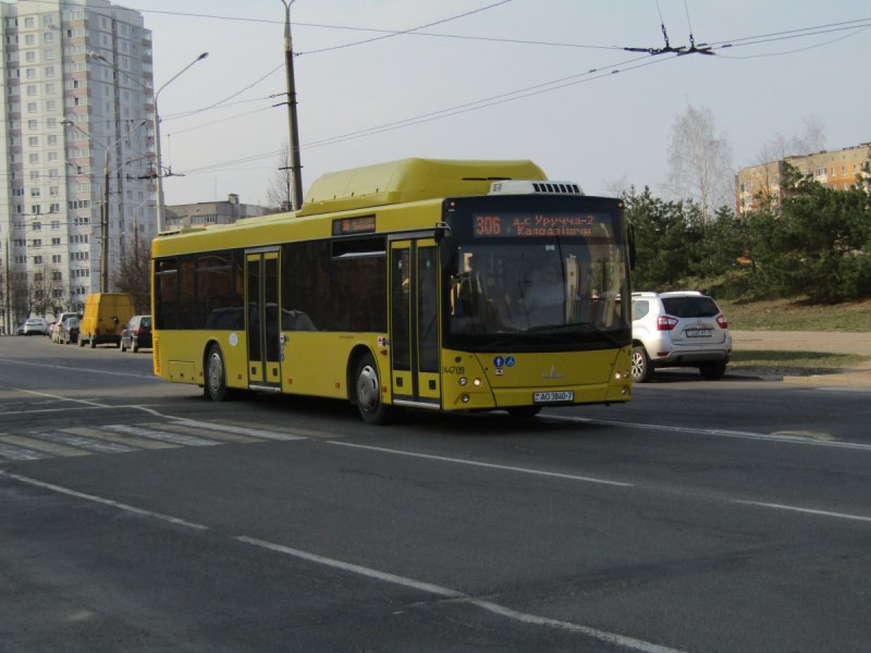 МАЗ 203 модель 1 43
