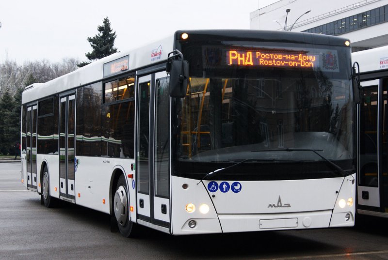 МАЗ-203 автобус Ростов