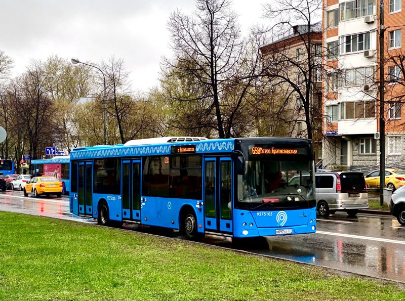МАЗ 203