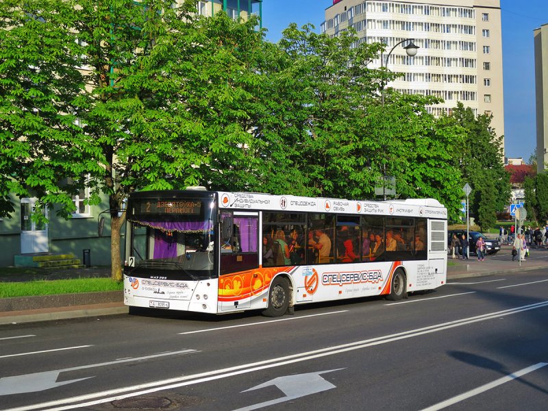 МАЗ 203.c65