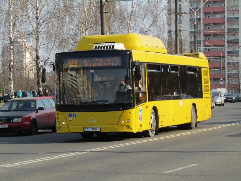 МАЗ-203 автобус вектор