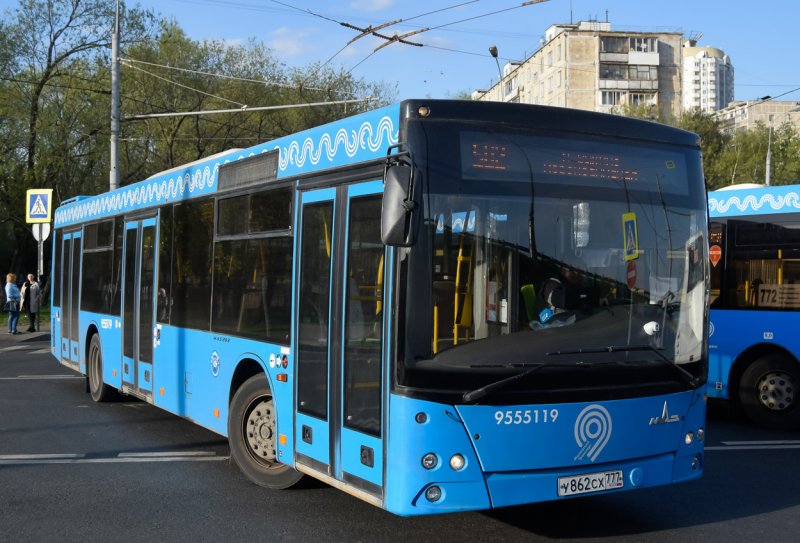 Автобусы МАЗ 203 065