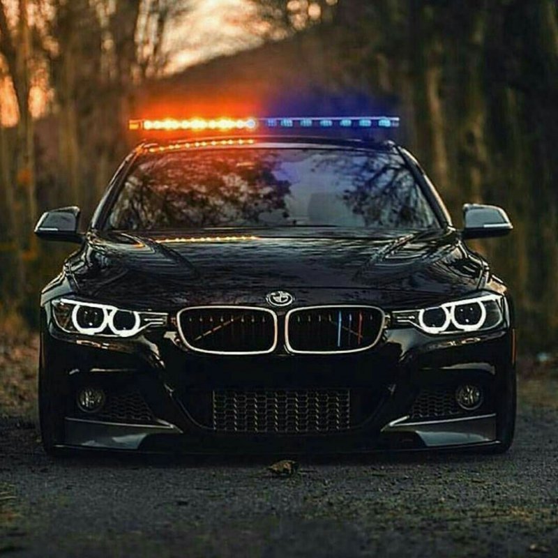 BMW m5 в лесу