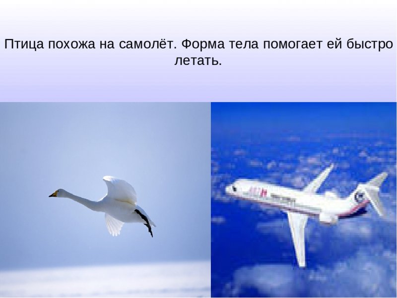 История самолета