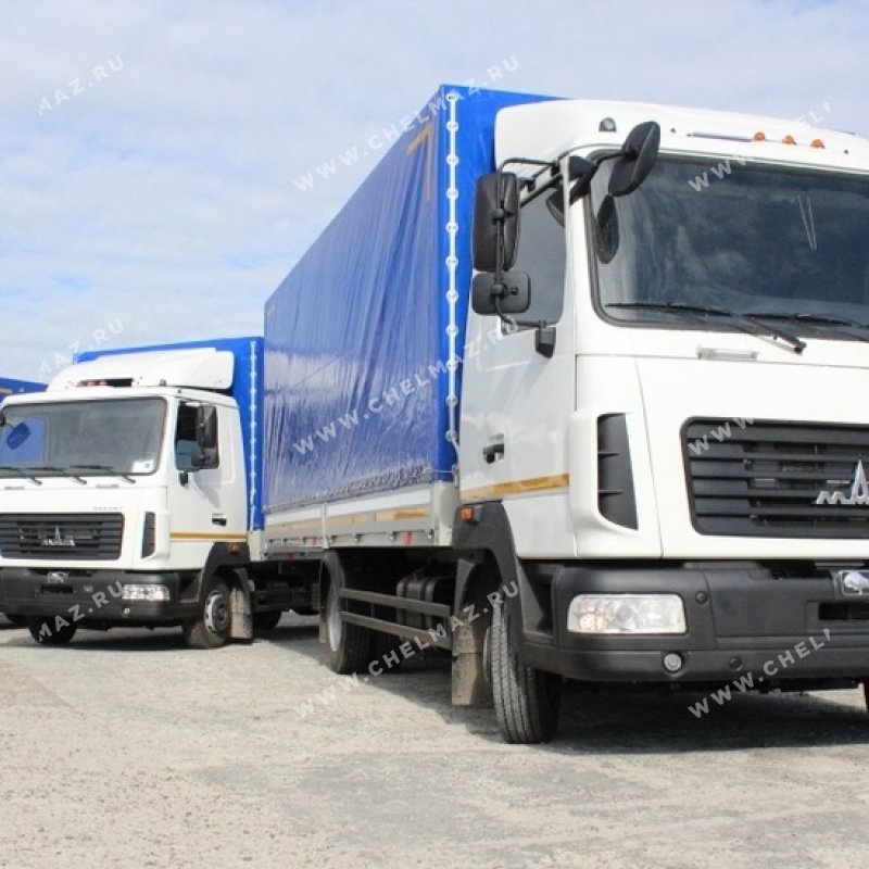 Самосвал ТК-М-4371-СС 800 мм