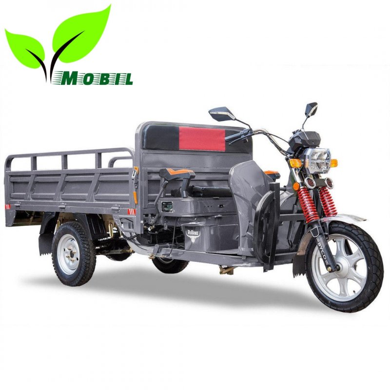 Грузовой мопед Orion Tricycle 100
