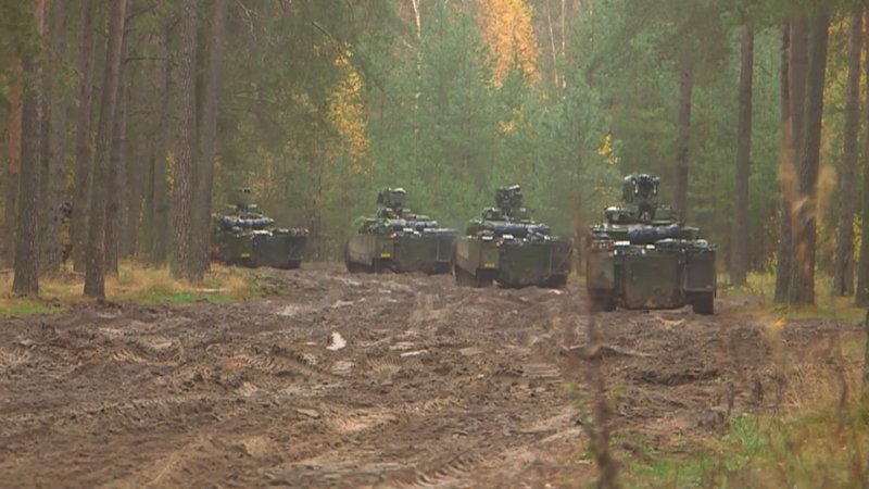 Колонна танков в лесу