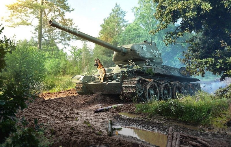 Т3485 Руди