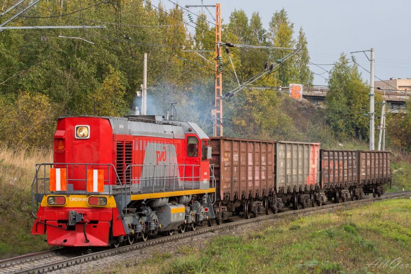 ТЭМ-2 Петрозаводск