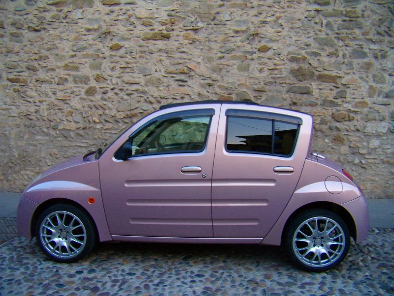 Toyota will vi 2001