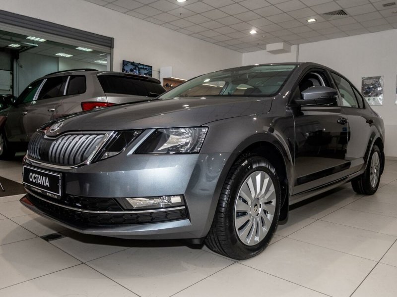 Skoda Octavia a8 серая