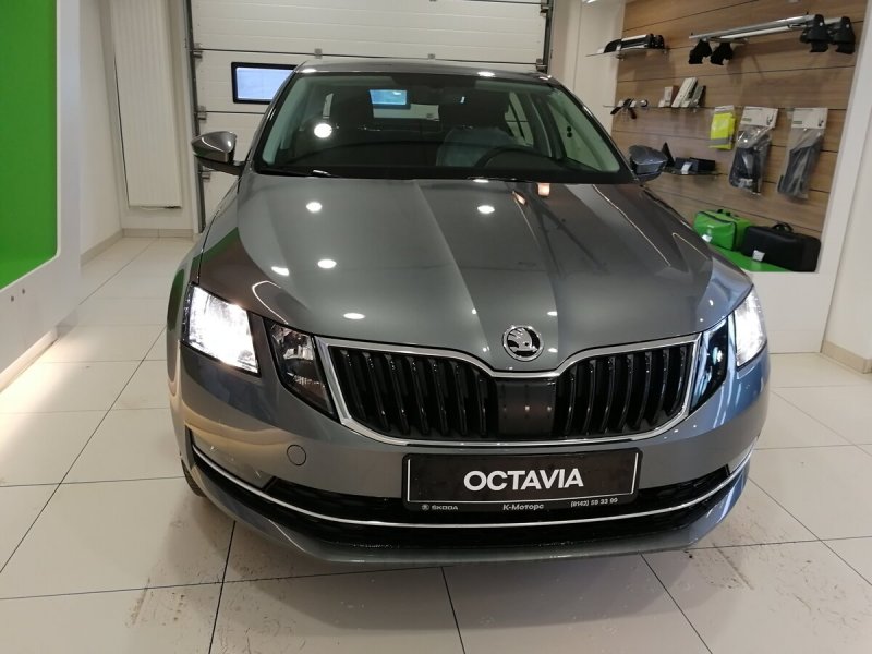 Шкода Октавия 2018 серая