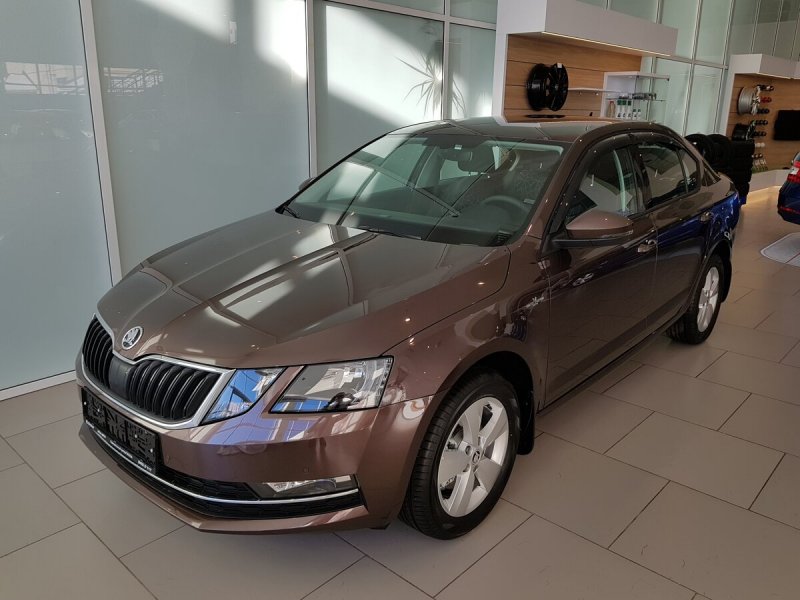 Škoda Octavia a7 коричневый