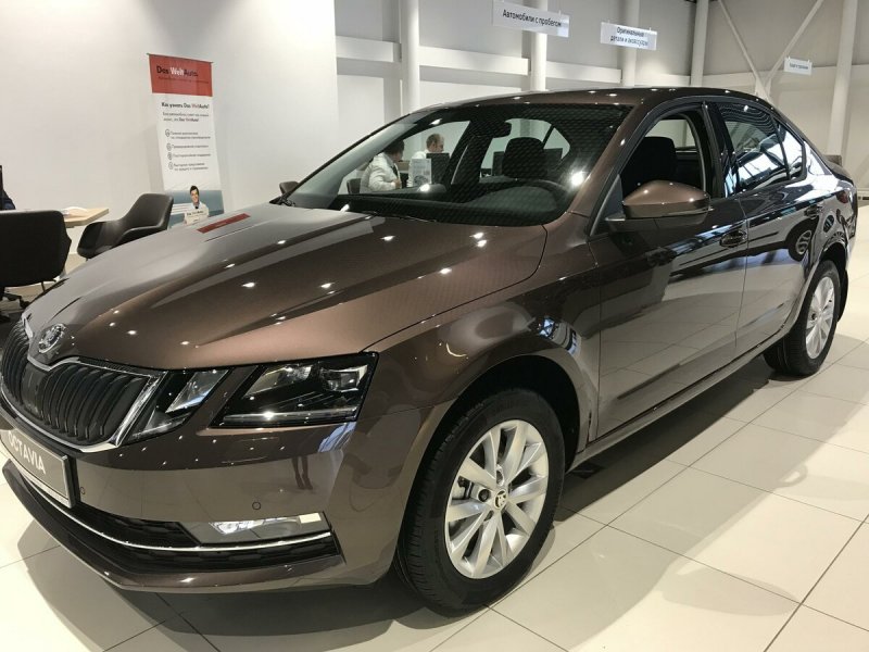Skoda Octavia a7 Brown