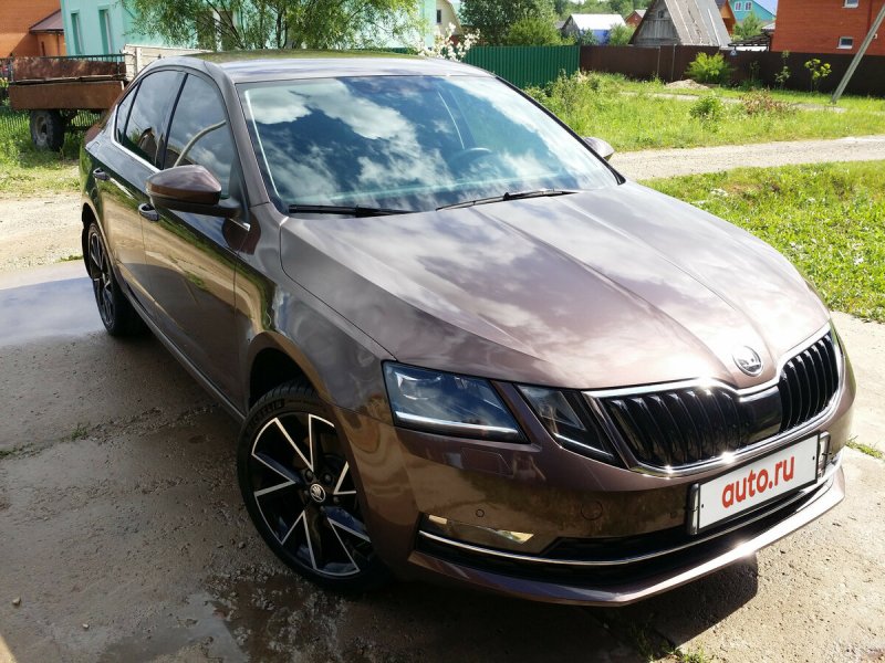 Octavia a7 FL коричневый