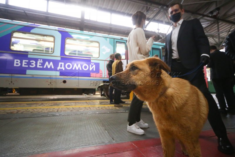 Егоровские пассажирские вагоны