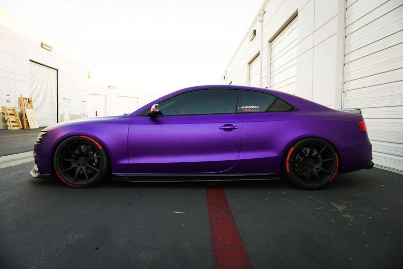 KPMF Purple
