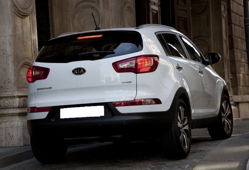 Kia Sportage 2015 белый сзади