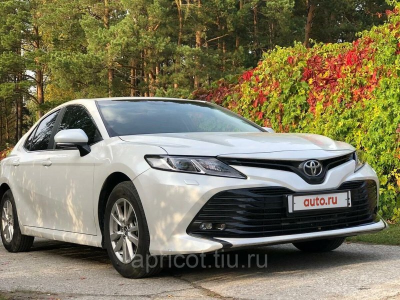 Toyota Camry xv70 2019