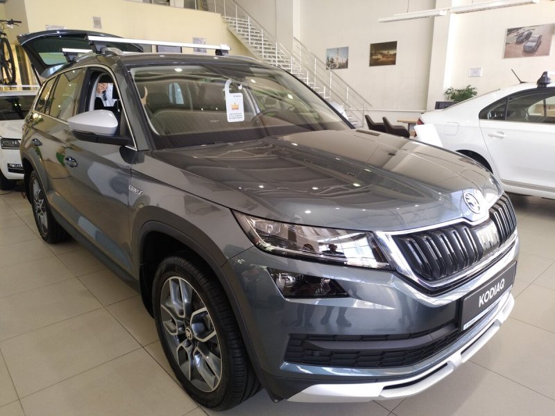 Skoda Kodiaq Grey