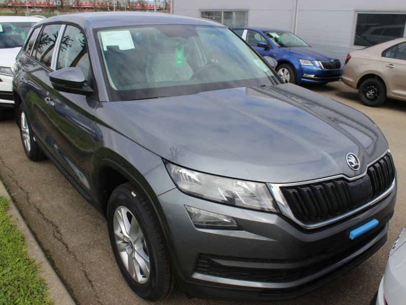 Skoda Kodiaq Grey
