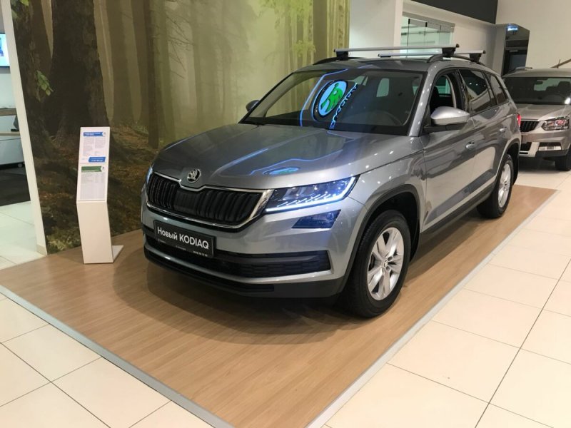 Skoda Kodiak 2018 серый